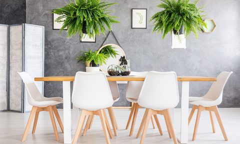 is eco friendly furniture worth the spend 1