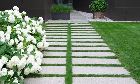 fall lawn
