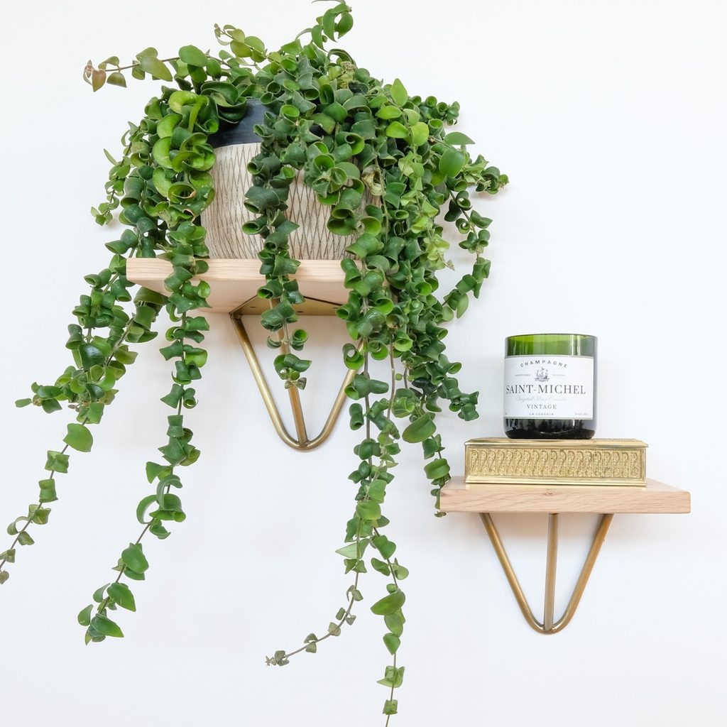 Two floating shelves against a white wall