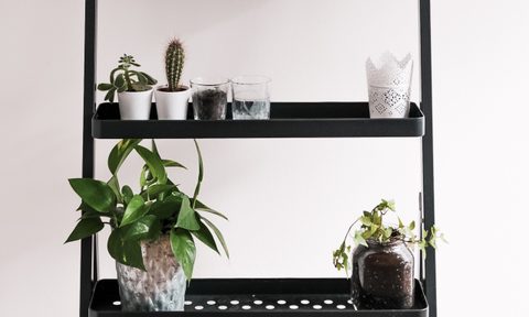simple living room shelving inspiration