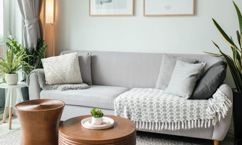 Minimalist gray living room sofa