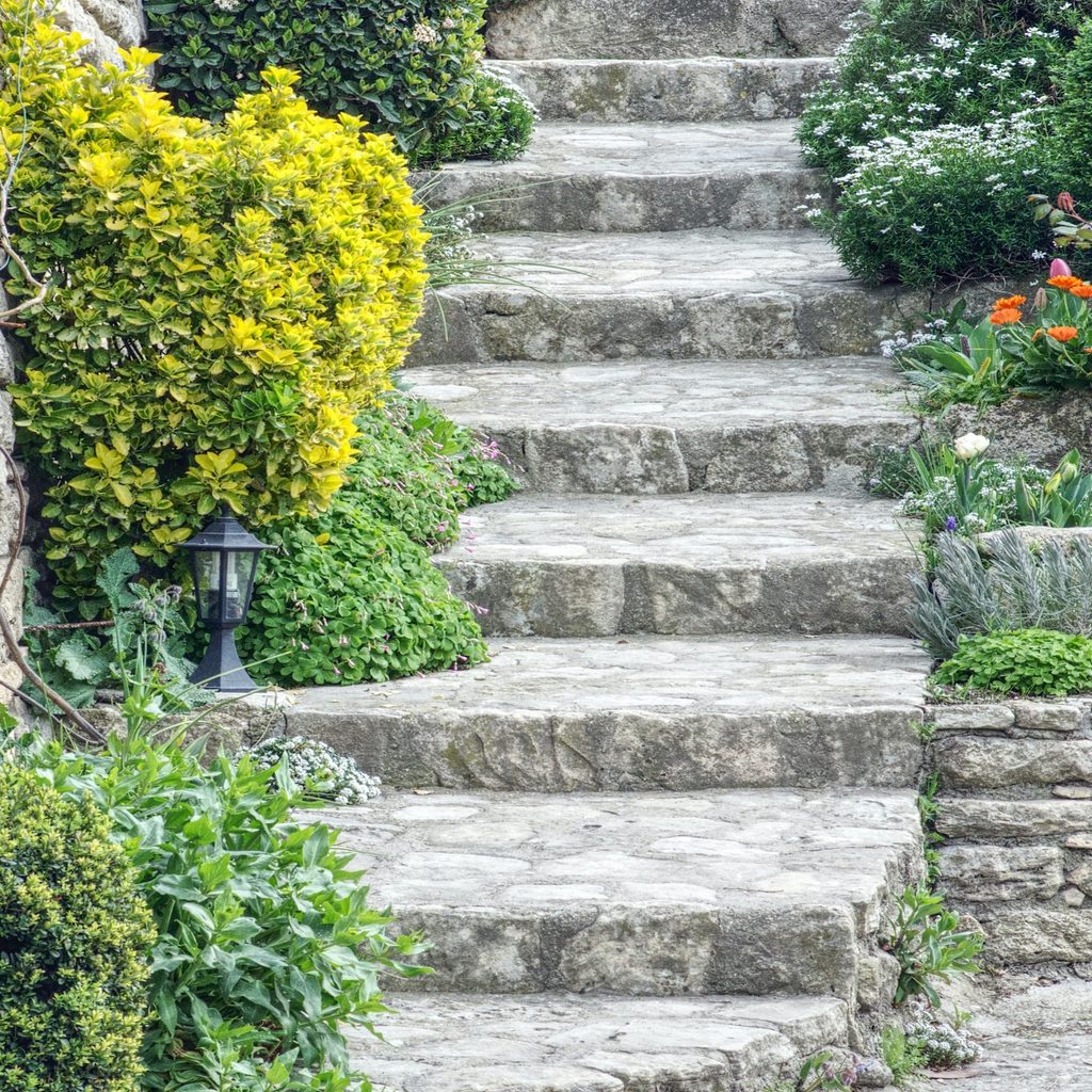 A curved staircase winds up through lush green plants.