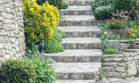 A curved staircase winds up through lush green plants.