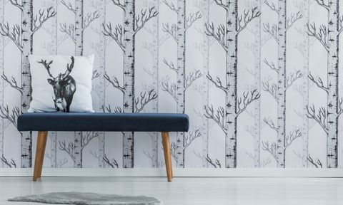 Entryway with mural wallpaper