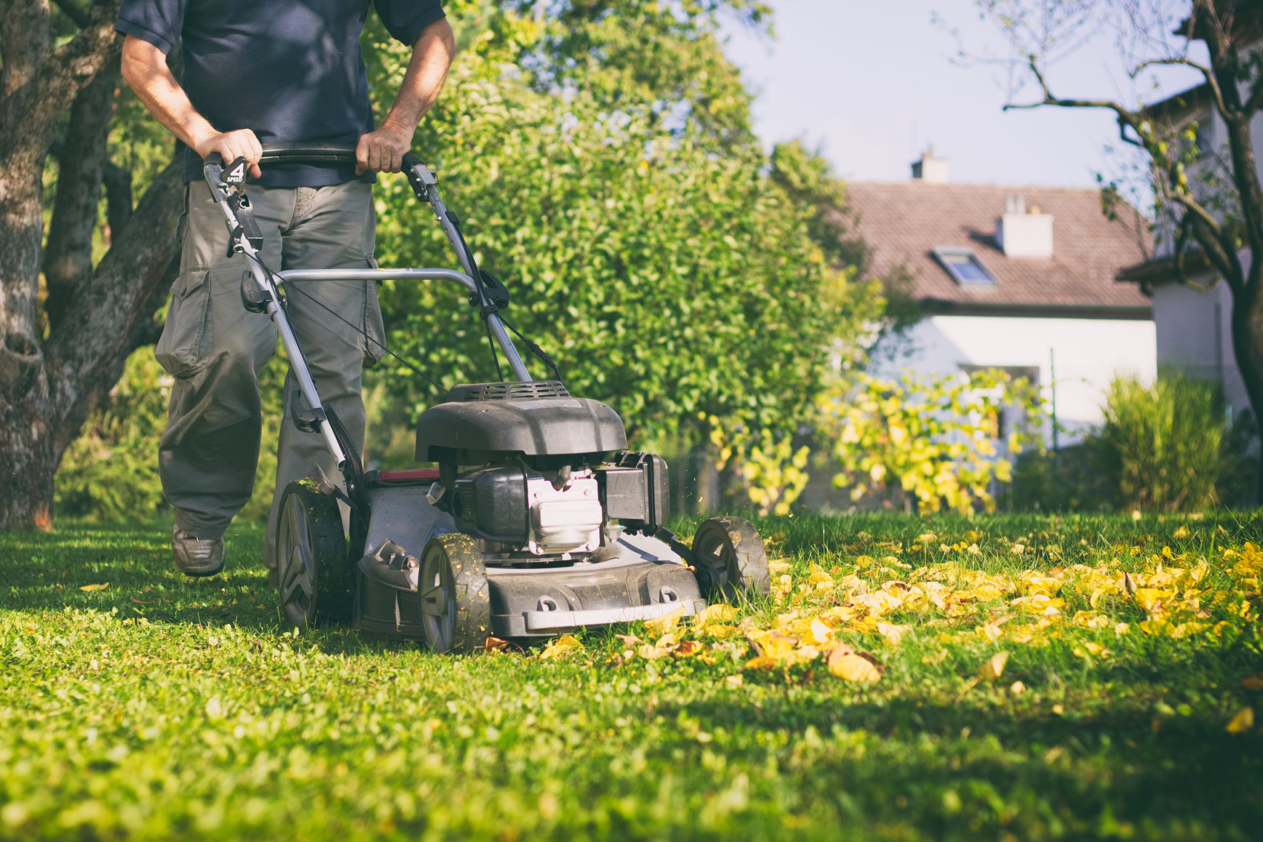 Man mowing the lawn