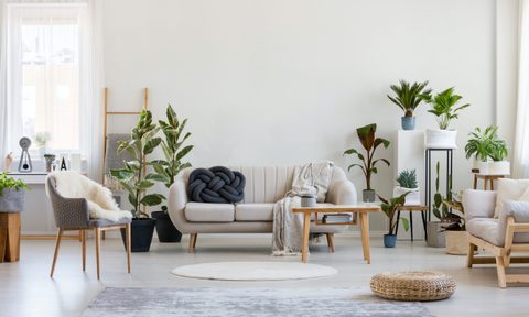 Living room furniture