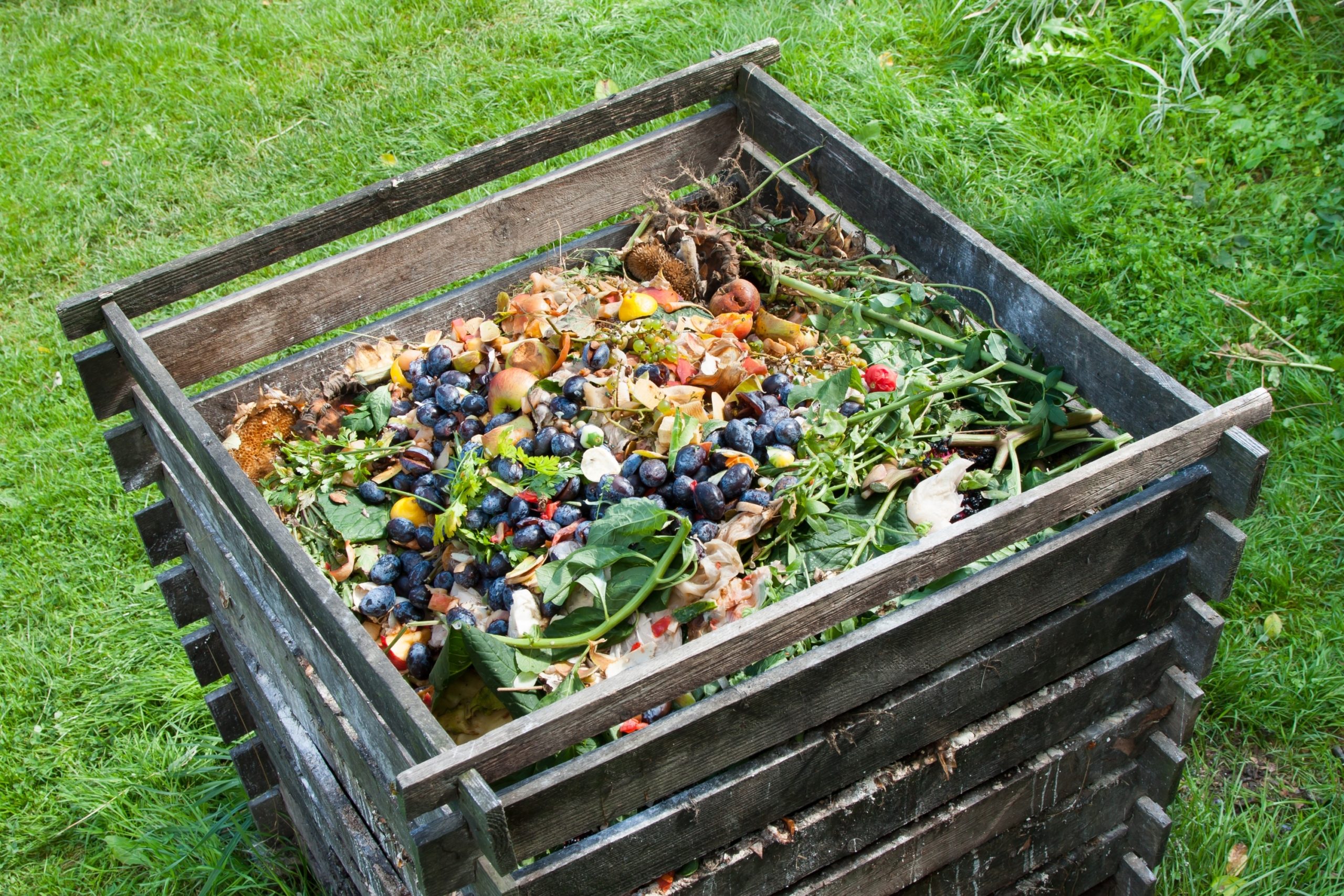 Compost bin outside filled of food scraps
