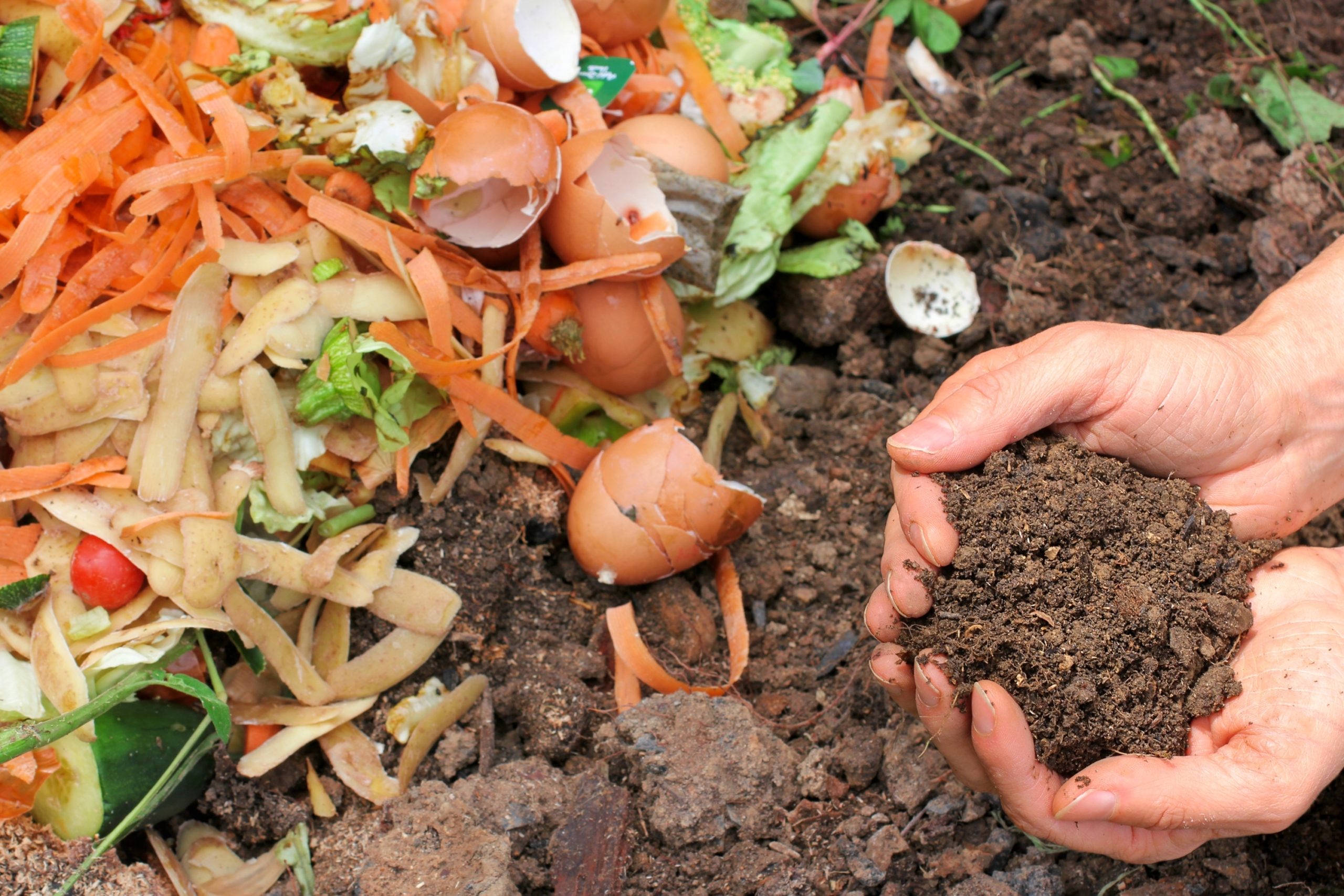 person holding compost soil
