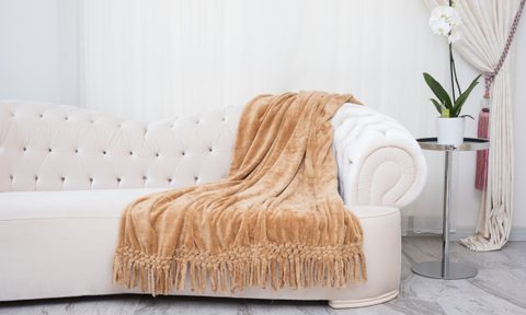 Couch with throw blanket in the living room