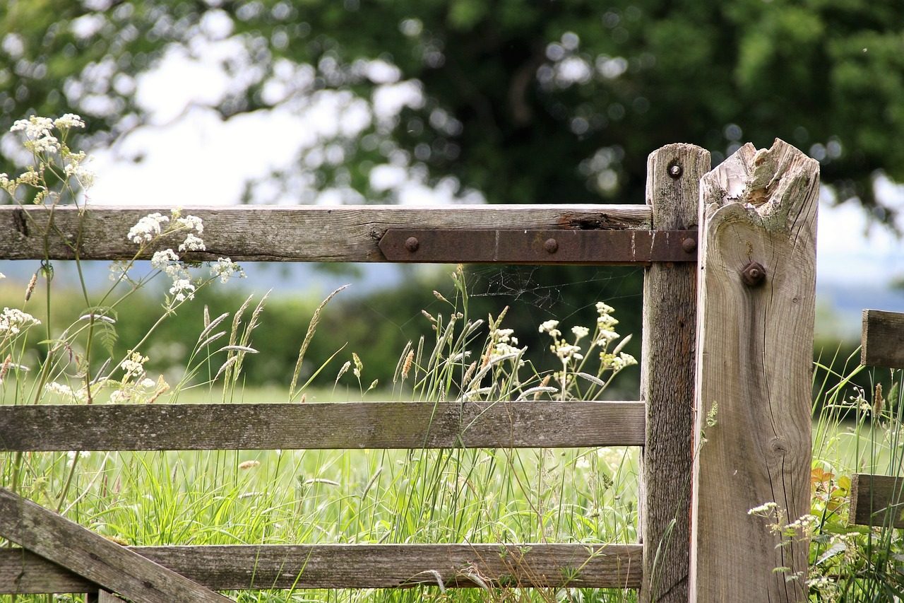 Wooden gate in a field with rusted metal hinge