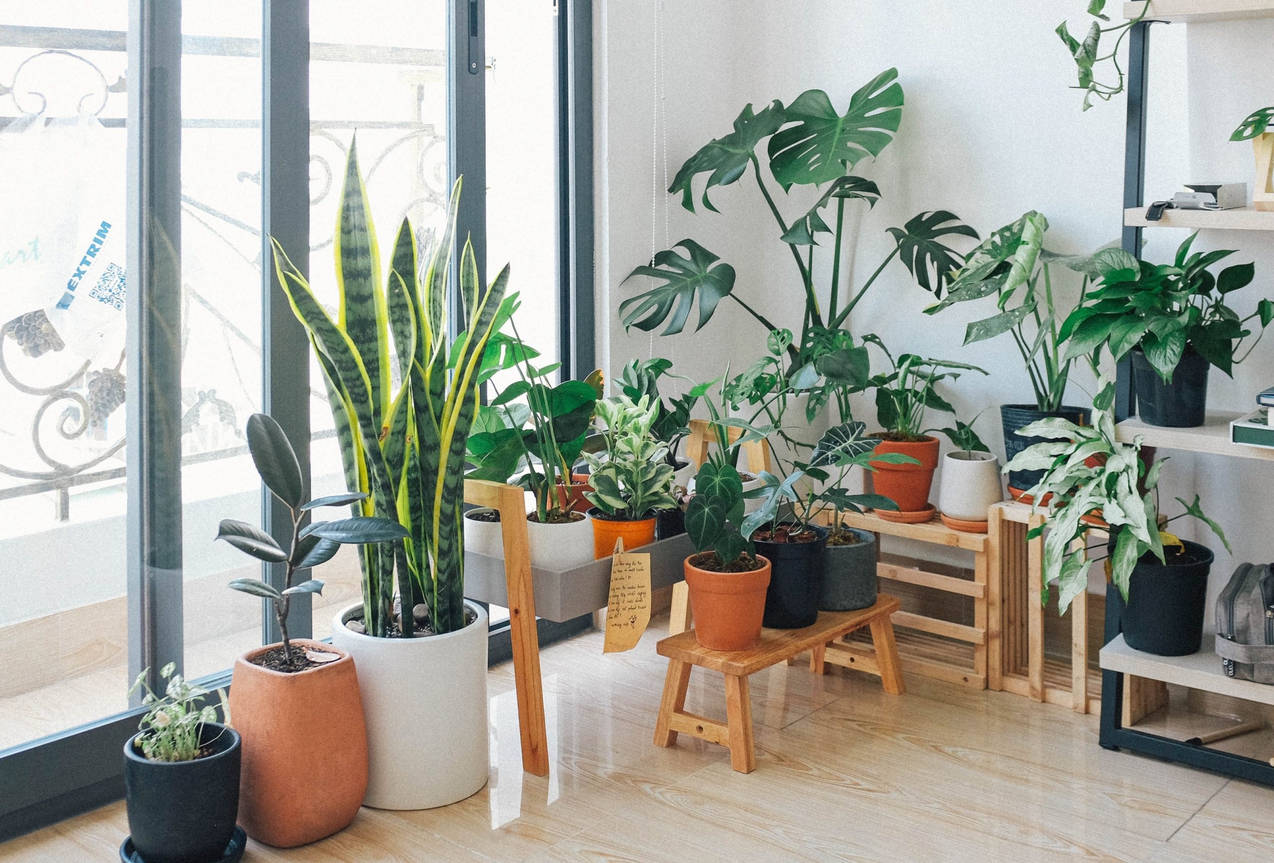 Potted plants indoors by patio door