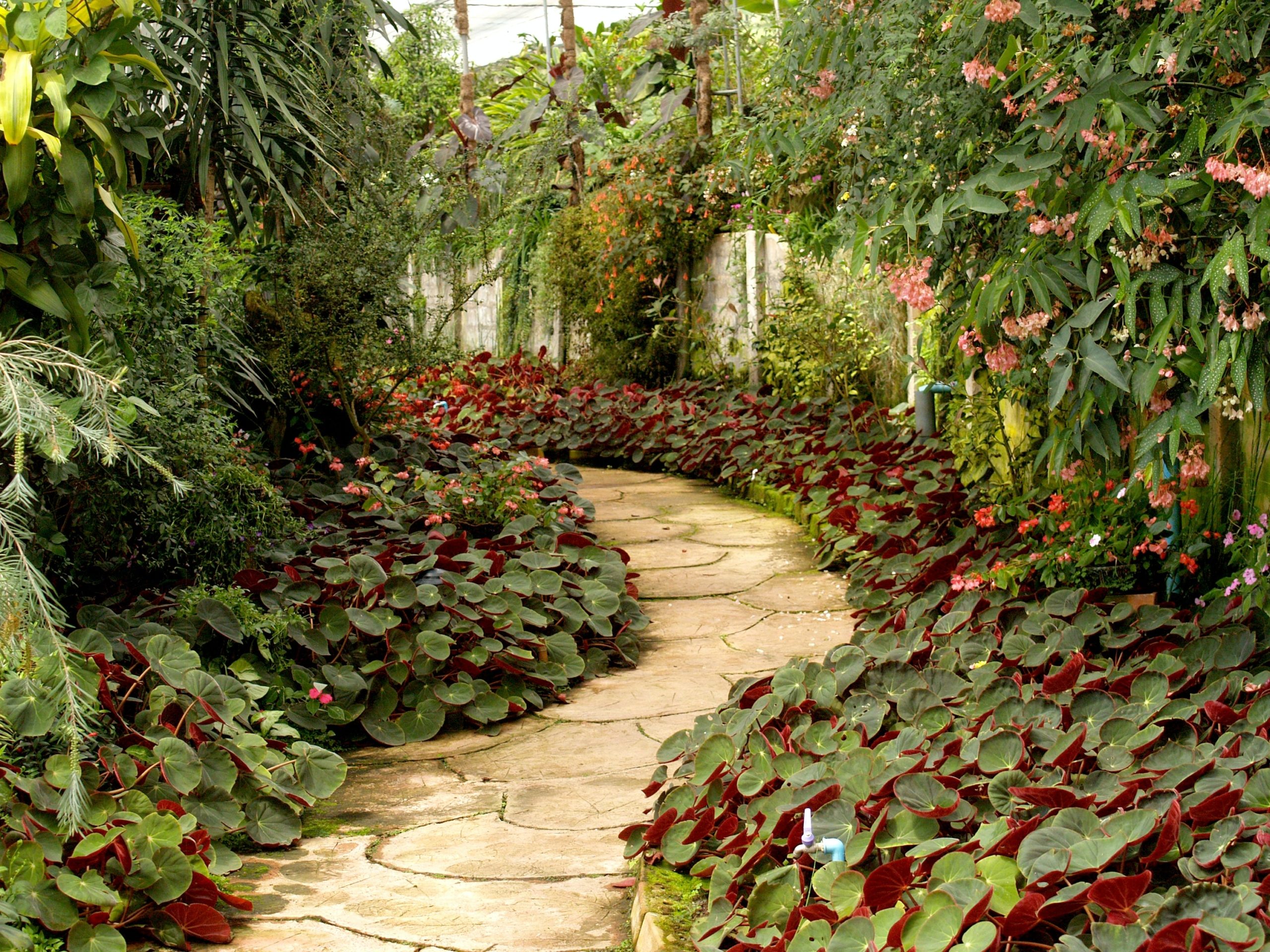 flagstone path in garden