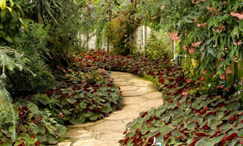 flagstone path in garden