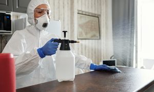 Woman in PPE spraying cleaner on counter
