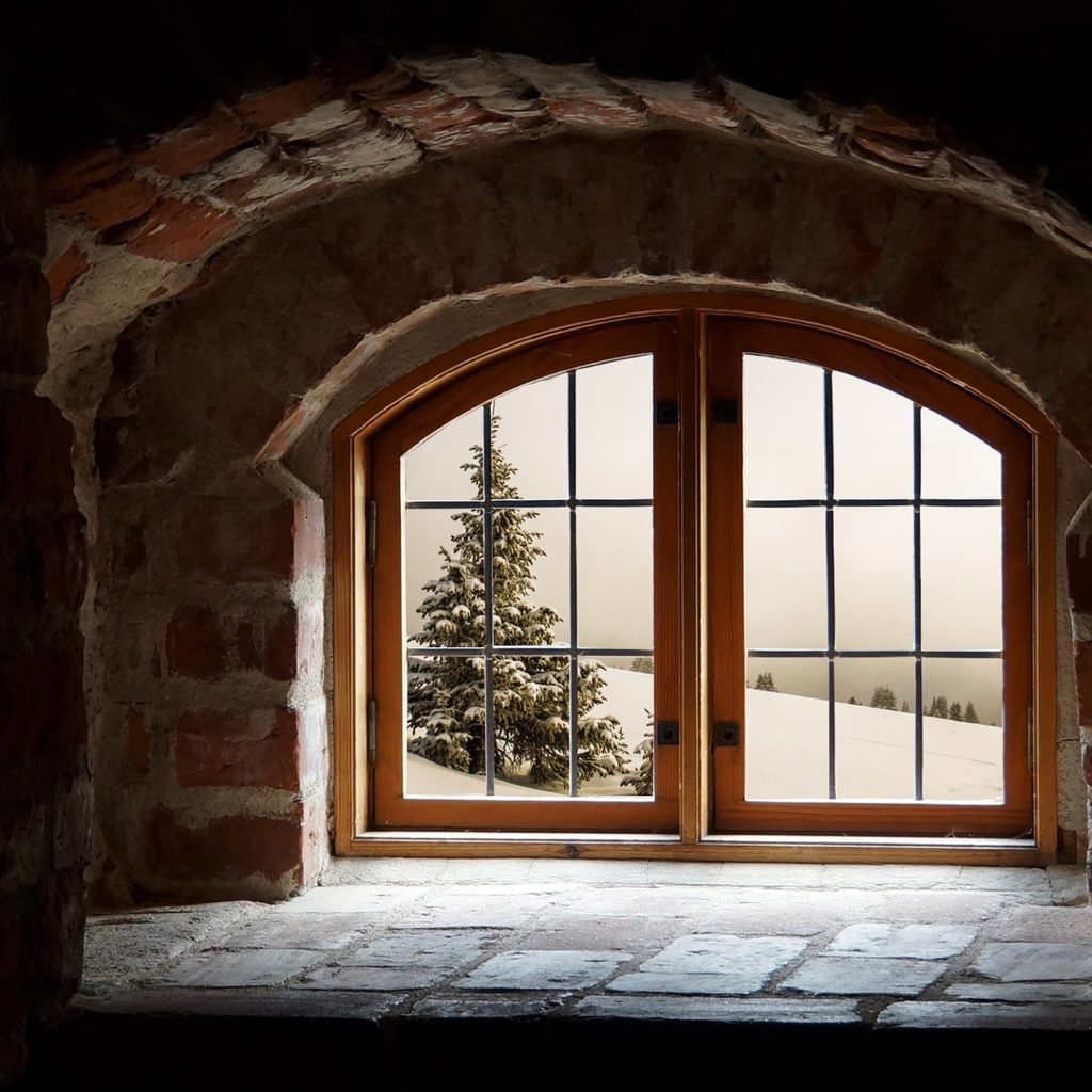 Window looking out on snowy tree
