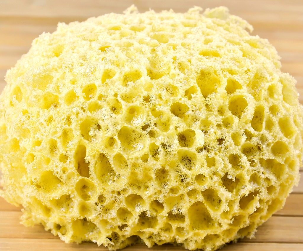 Round yellow sponge with wooden background
