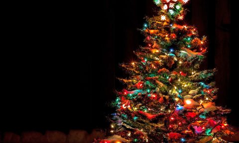outdoor tree light shutterstock 210794920