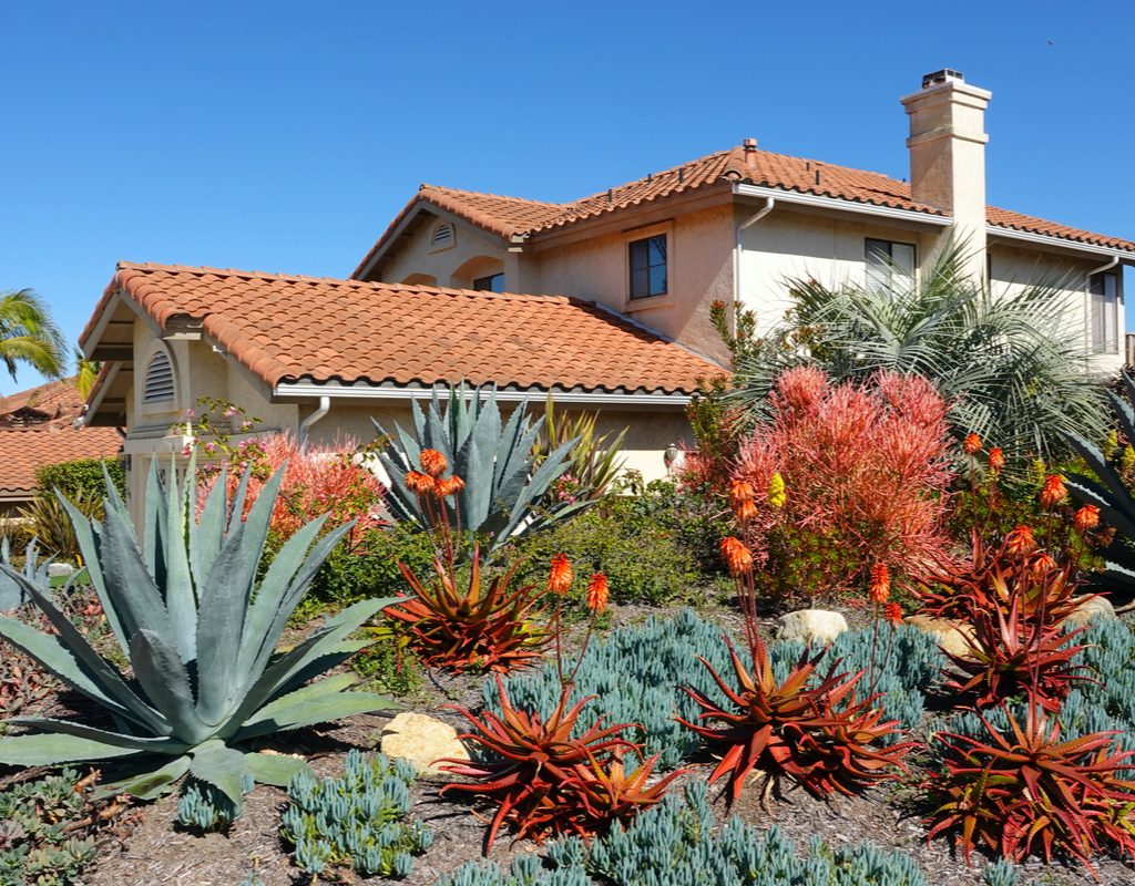 A front yard with xeriscape landscaping