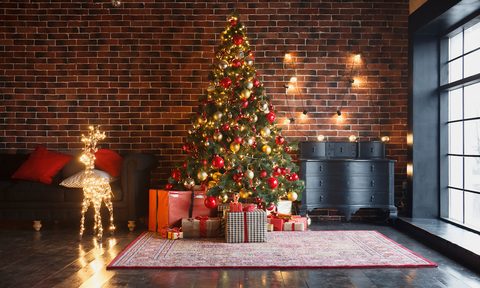 Christmas tree in room