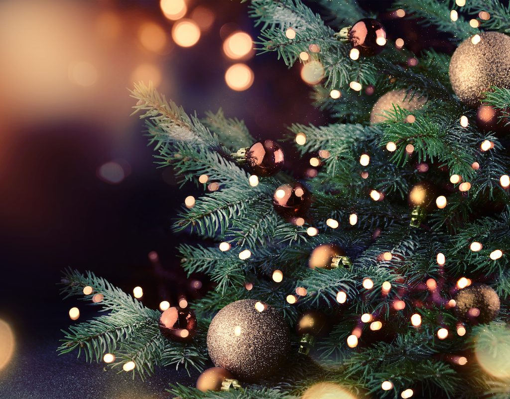close up Christmas tree