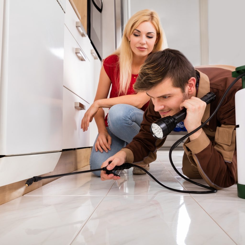 woman watching pest control man inspect kitchen