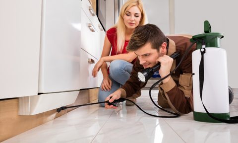 woman watching pest control man inspect kitchen