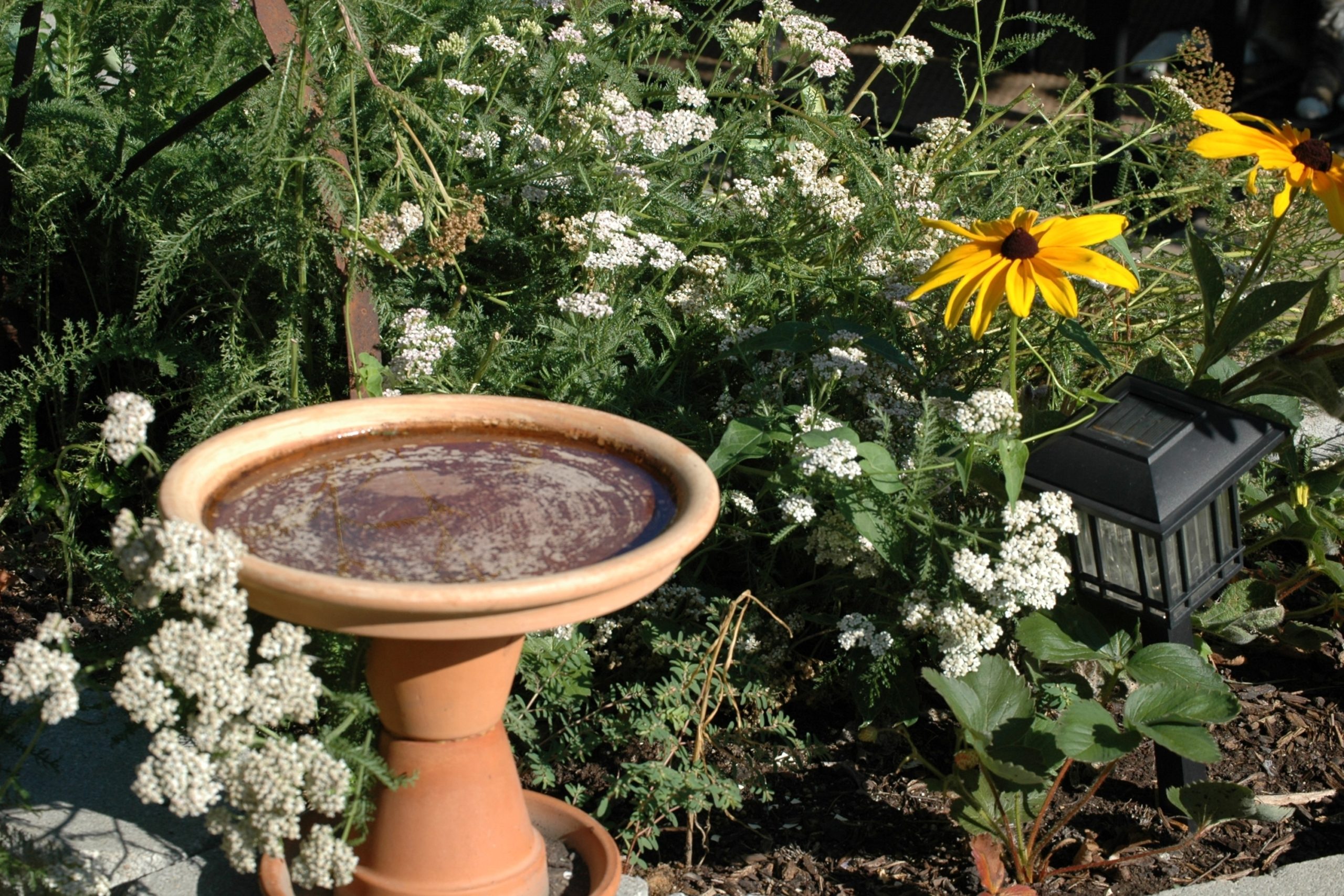 A DIY birdbath made of old planters