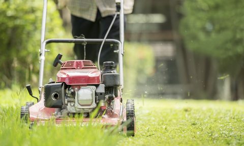 Lawn mower cutting grass