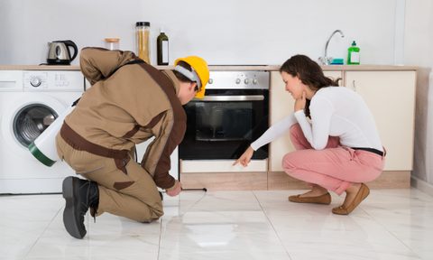 Woman and pest control inspector in kitchen