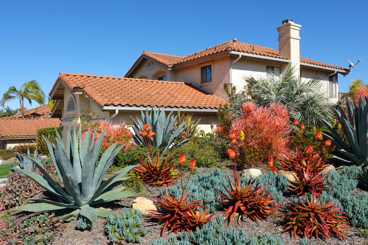 A house featuring a xeriscape garden
