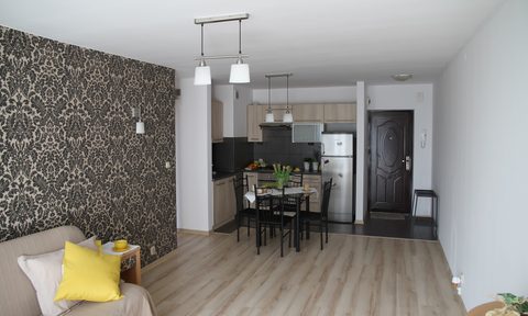 Apartment with accent wall