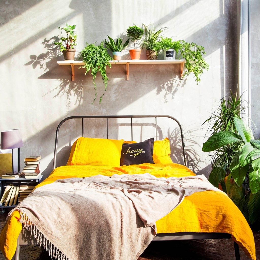 bedroom with indoor plants and lots of sunlight
