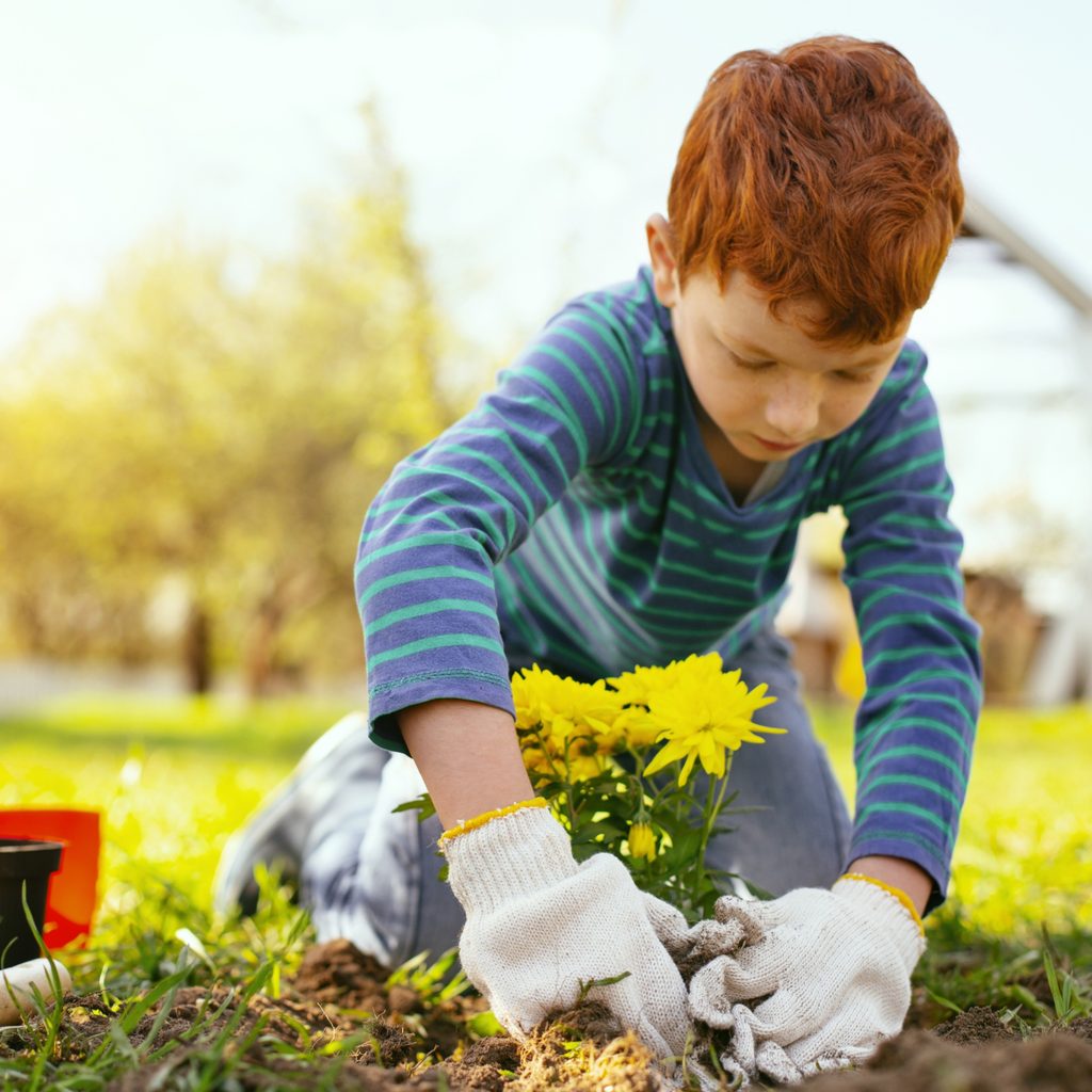 boy planting flowers outside