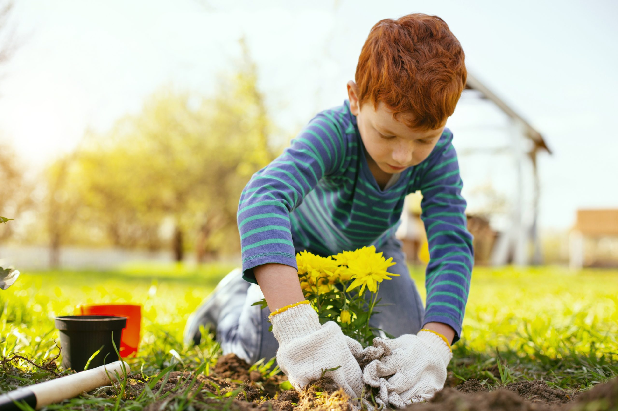 boy planting flowers outside