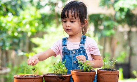 little girl planting seeds in garden