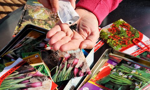 how to store seed gardening packets hand