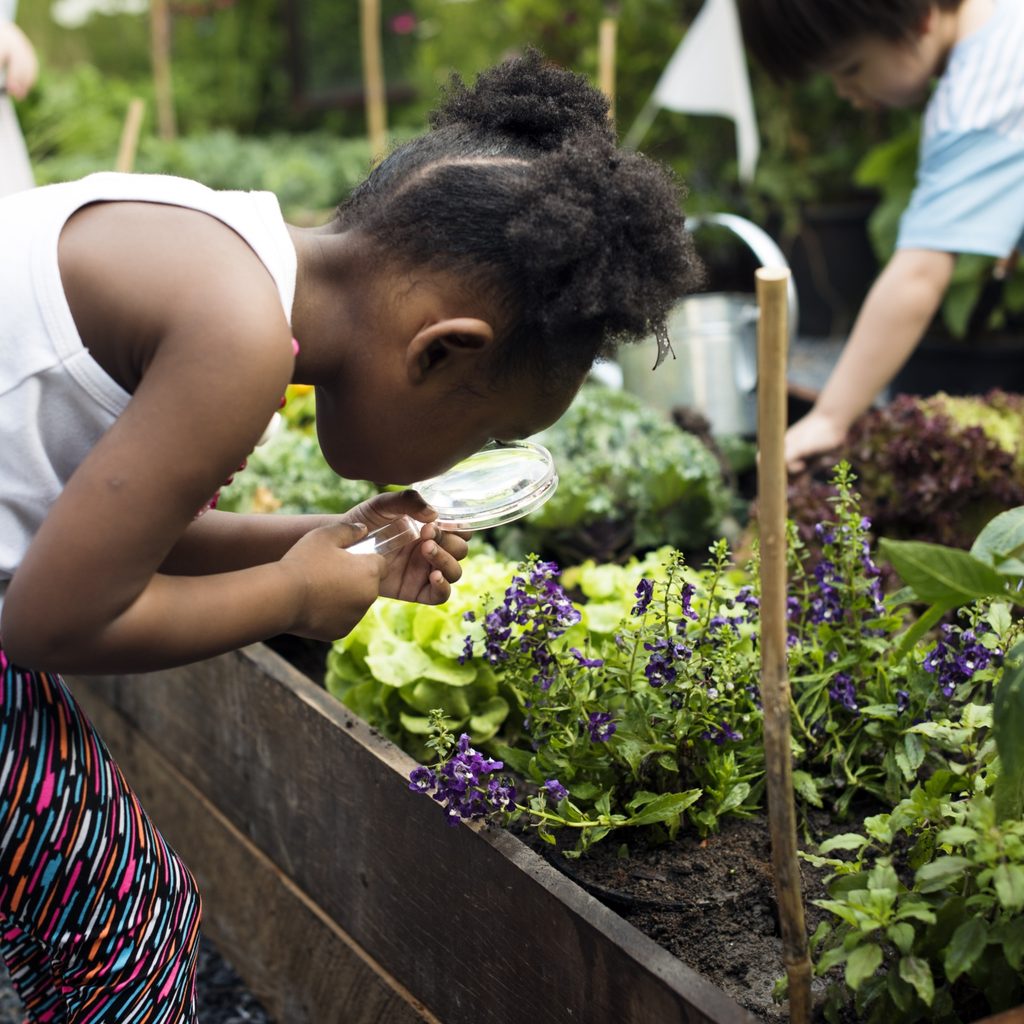 young girl in vegetable garden