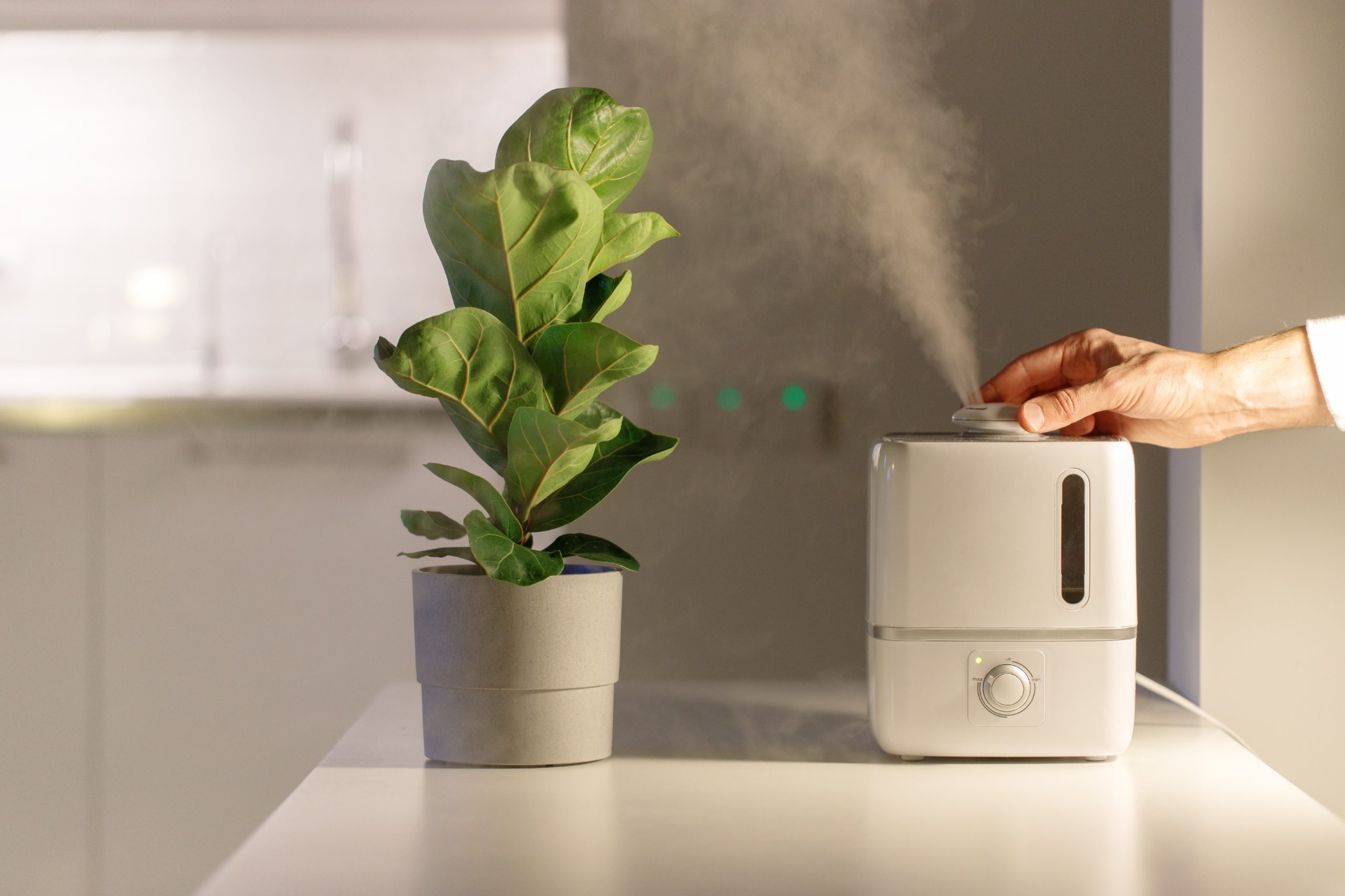 person turning on plant humidifier