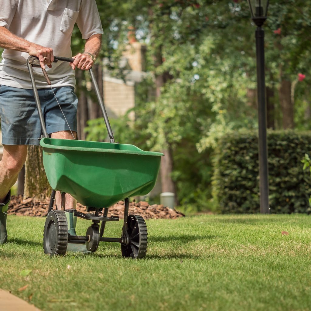 Fertilizing lawn
