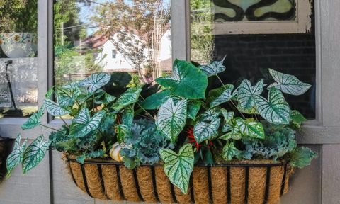 Steel English Hay Basket Window Planter