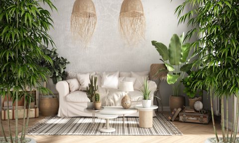 feng shui living room