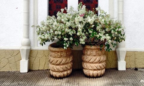 outdoor flower pots