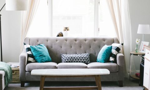 A light and breezy living room window with modern furnishings