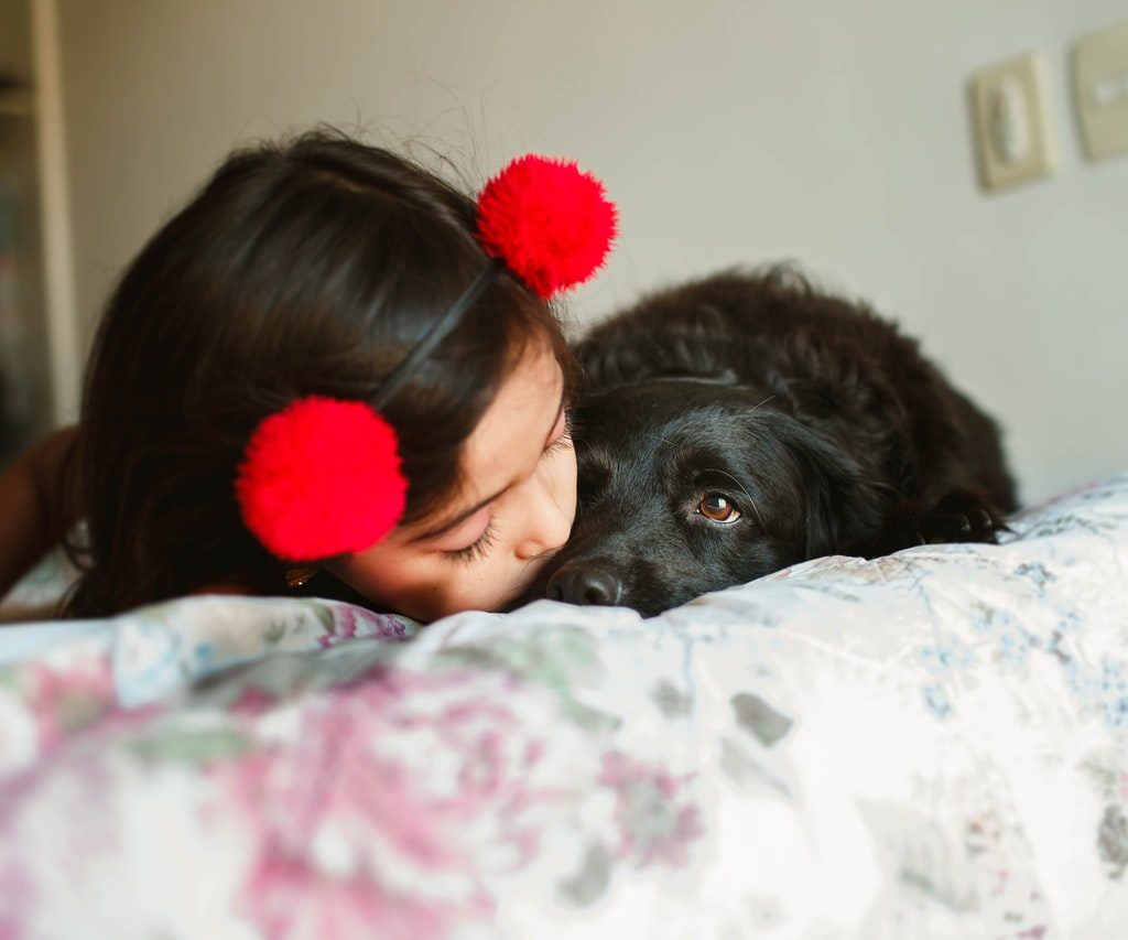 Little girl kissing dog on bed
