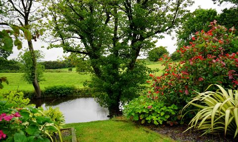 pond surrounded by trees and grass