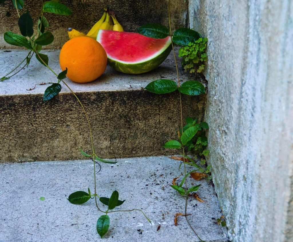 plants and fruit on concrete steps