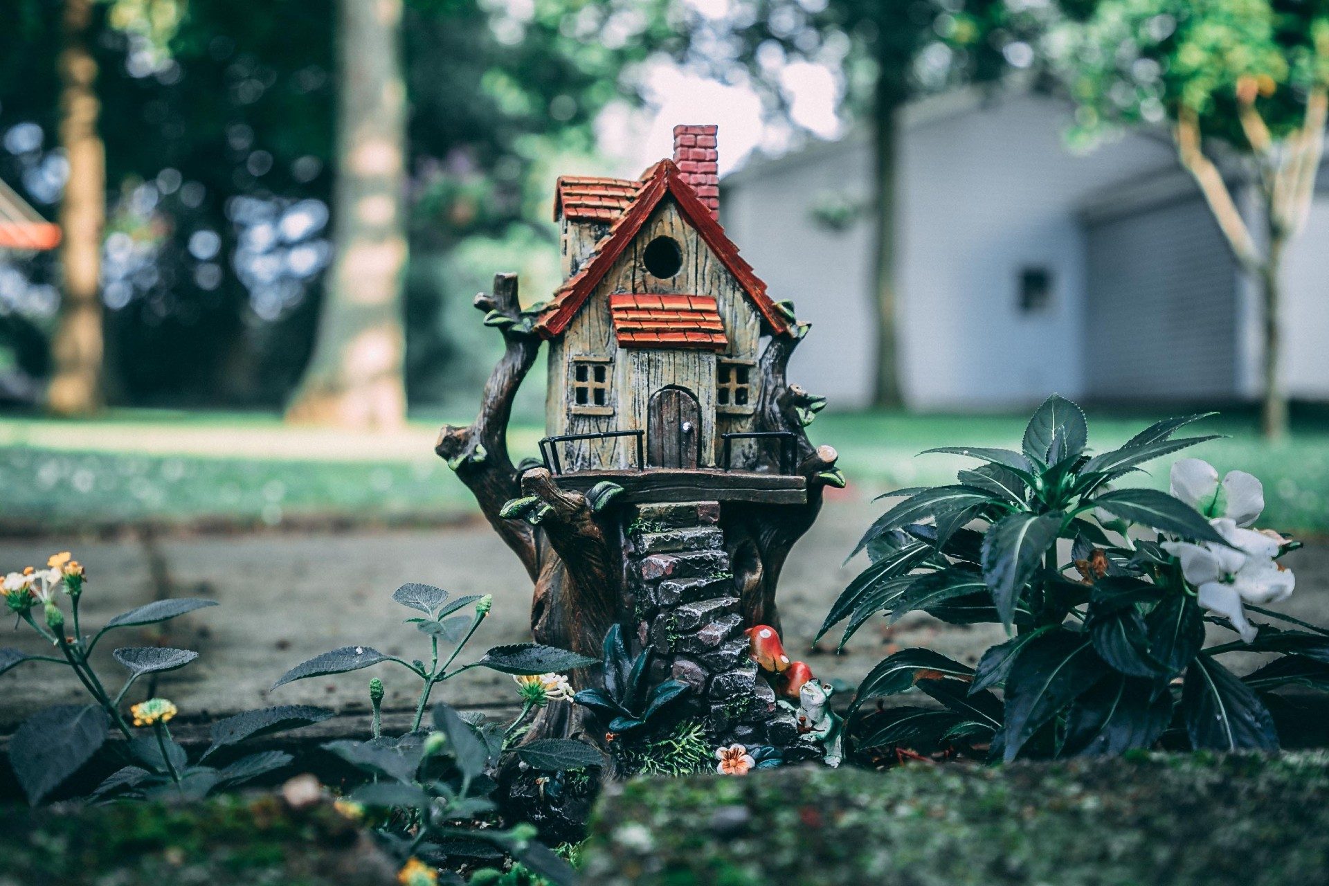 picture of a tiny birdhouse in garden