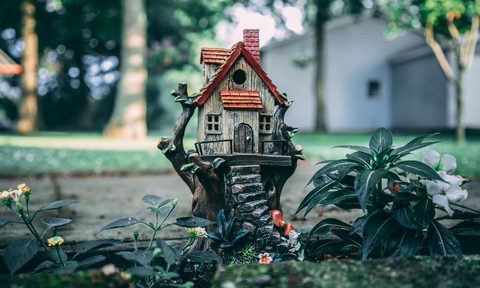 picture of a tiny birdhouse in garden