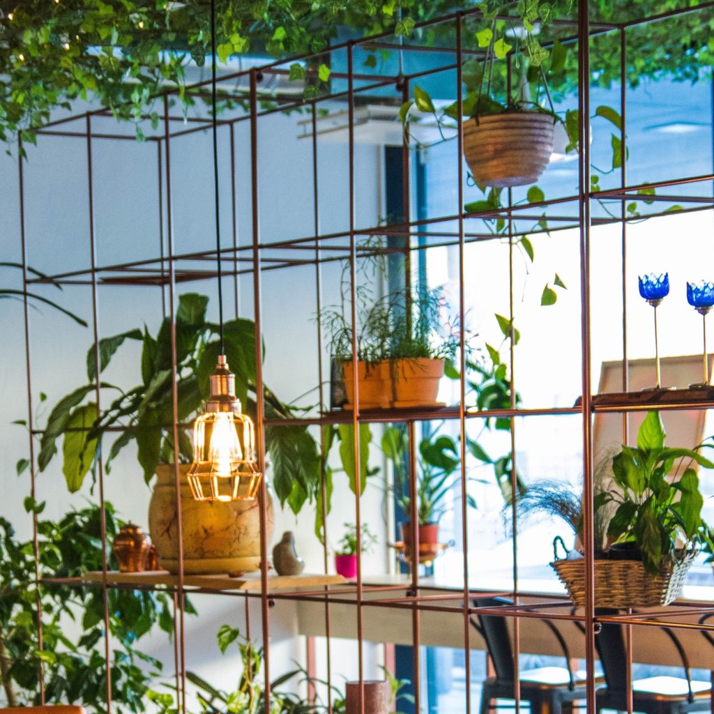 vertical garden with plants on shelves