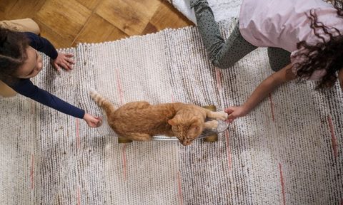 family and cat on the rug